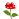 �DƬ�c(di��n)�������´��ڴ��_(k��i)�鿴